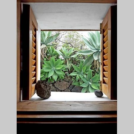Вилла Casa Agave 1 Фронтера Экстерьер фото