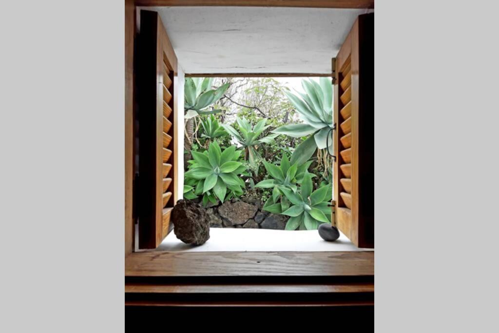 Вилла Casa Agave 1 Фронтера Экстерьер фото